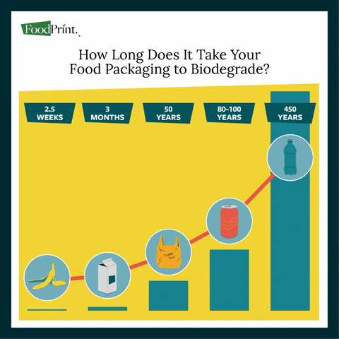 biodegradeable food packaging