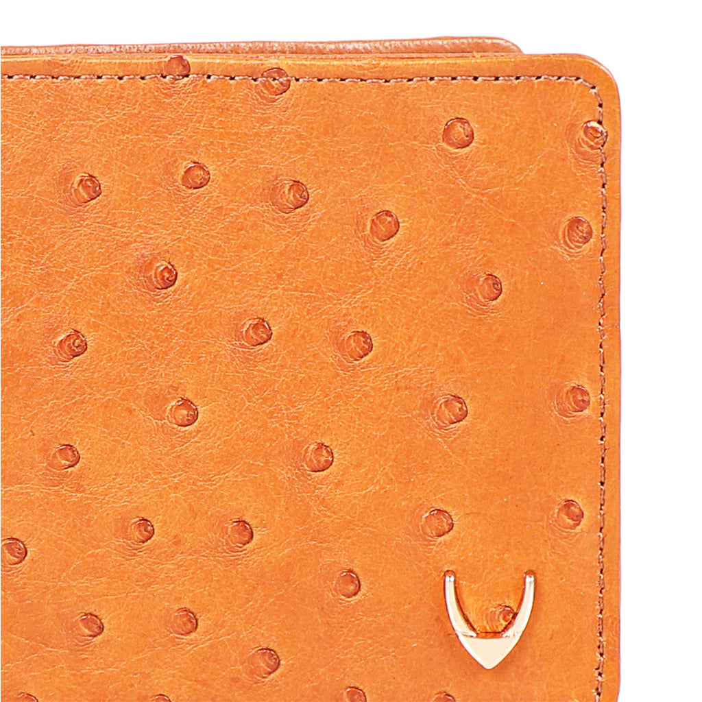 Buy Hidesign Tan Mens Wallet