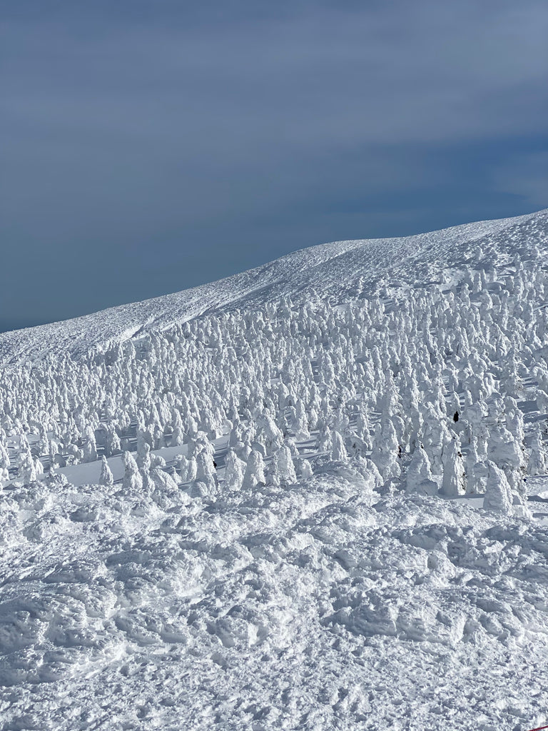 Zao mountains snow monsters DAMDAM Ara'kai Beauty 