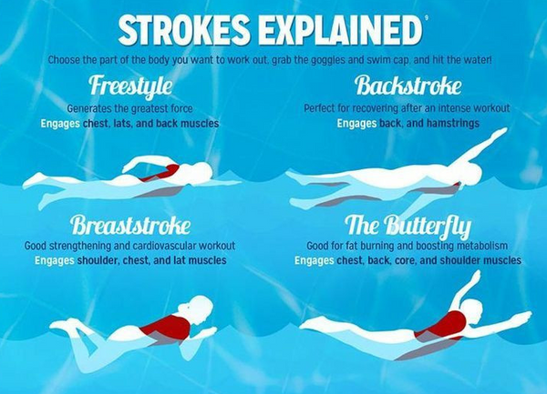 learn to swim basic swimming strokes explained