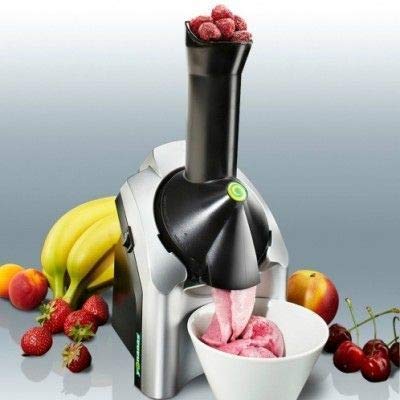 fruit ice cream maker