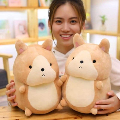 two dog plushies from K drama show