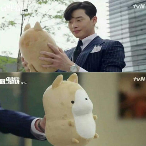 Remember Me dog plushie found in What's Wrong With Secretary Kim