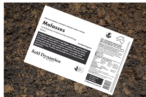 Molasses