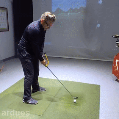 ARDUES Golf Swing Trainer