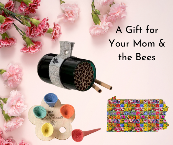 A Gift for Your Mom and the Bees