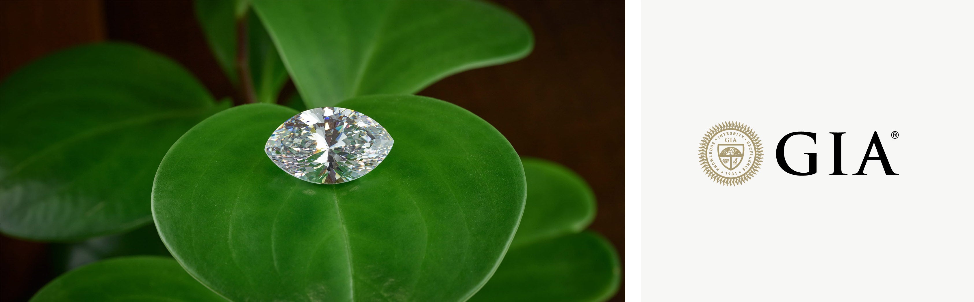 Lab grown diamonds Allure Jewellers 