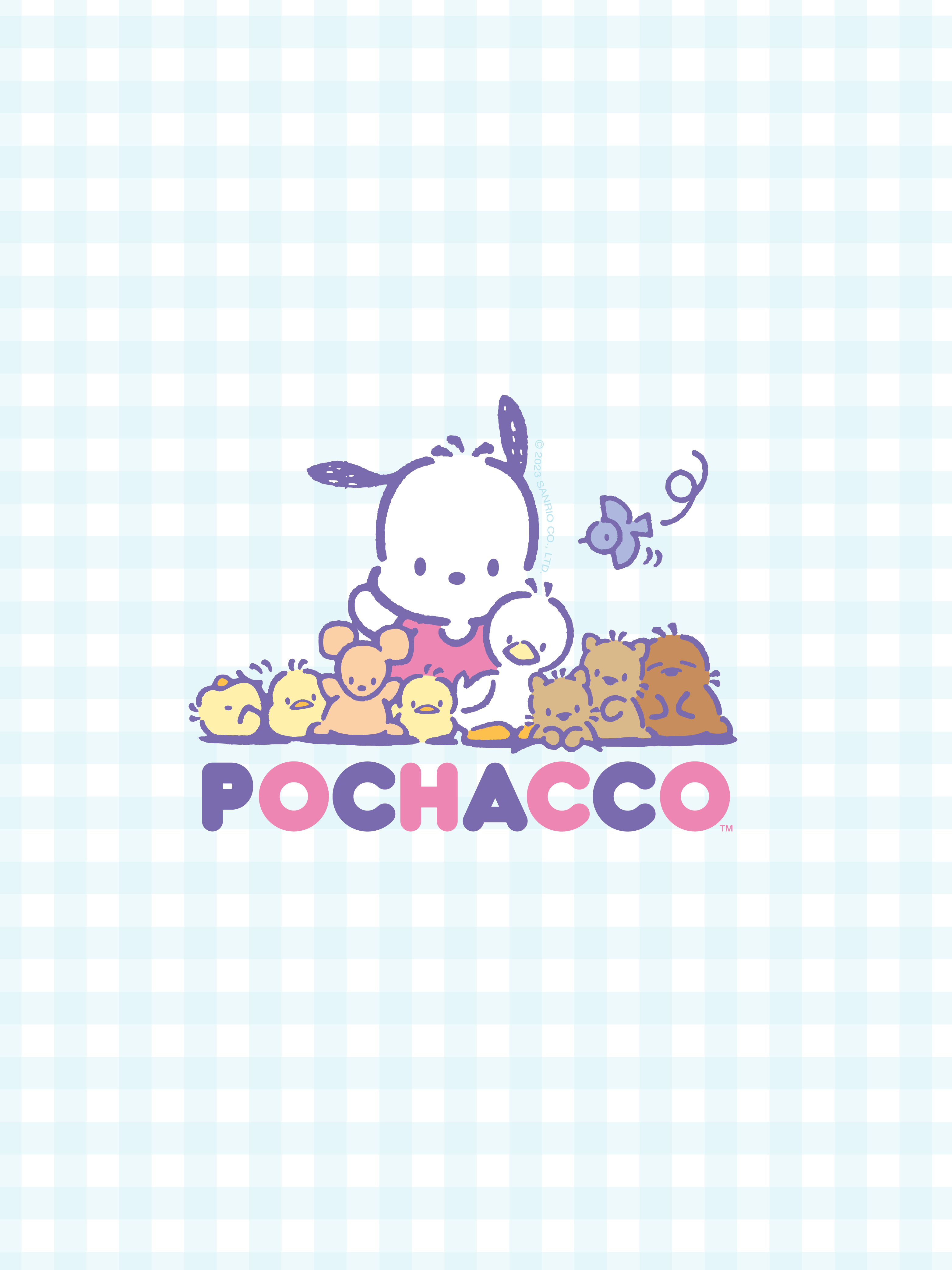 Sanrio PC Aesthetic Wallpapers  Wallpaper Cave