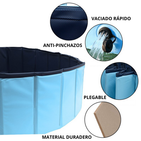 piscina para perro