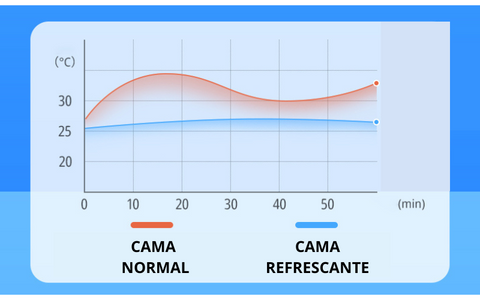 cama ortopédica refrescante