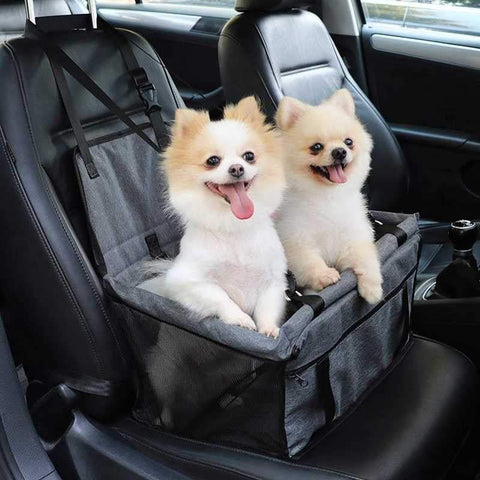 asiento de perro para coche