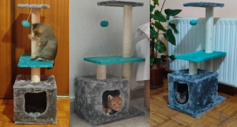 torre y rascador para gatos