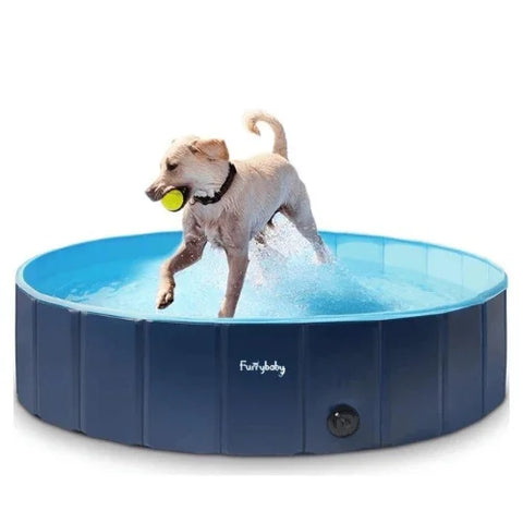 piscina para perro