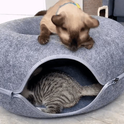 Cama Tunel gato - Mascotagadget