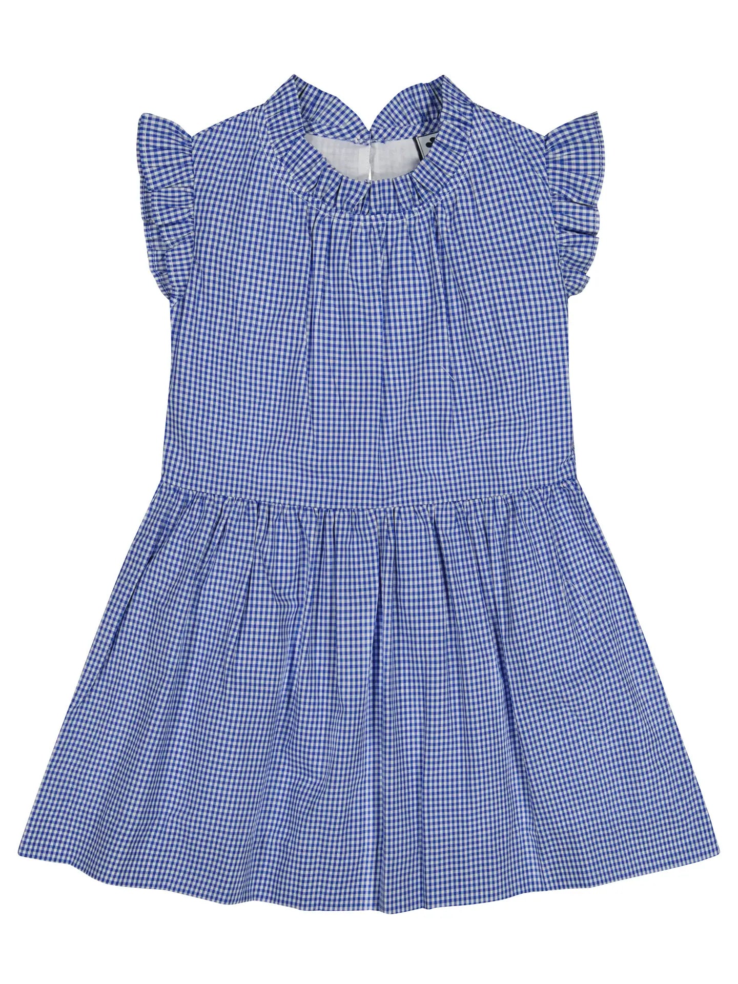 Kinsley Drop Waist Dress - Mini Blue Check