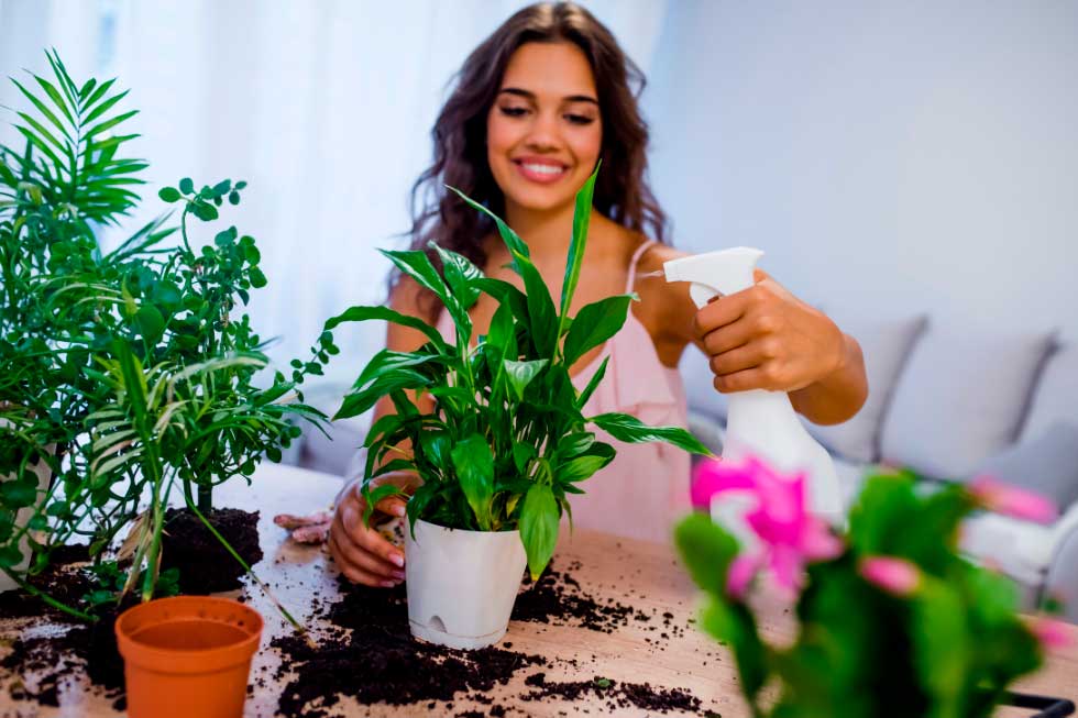 10 increíbles razones para llenar tu hogar y espacio de trabajo de plantas - Liza Pons