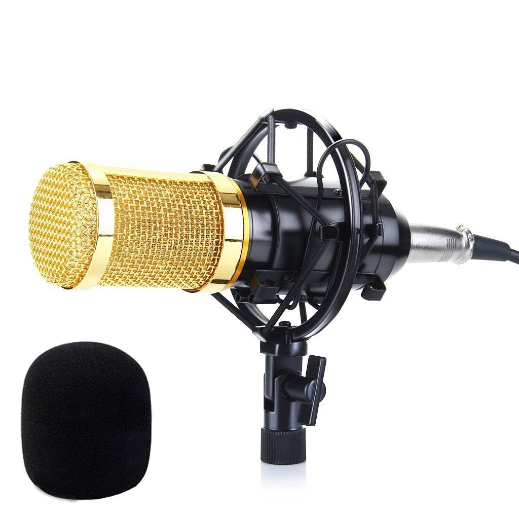 Professional Condenser Microphone Set Primerostore Ph