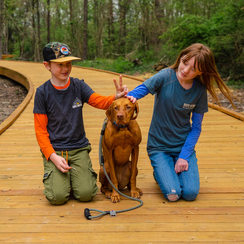 How to reduce anxiety for pets, according to an expert