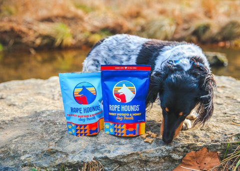 Dachshund dog standing on a rock with Rope Hounds peanut butter treats and sweet potato treats