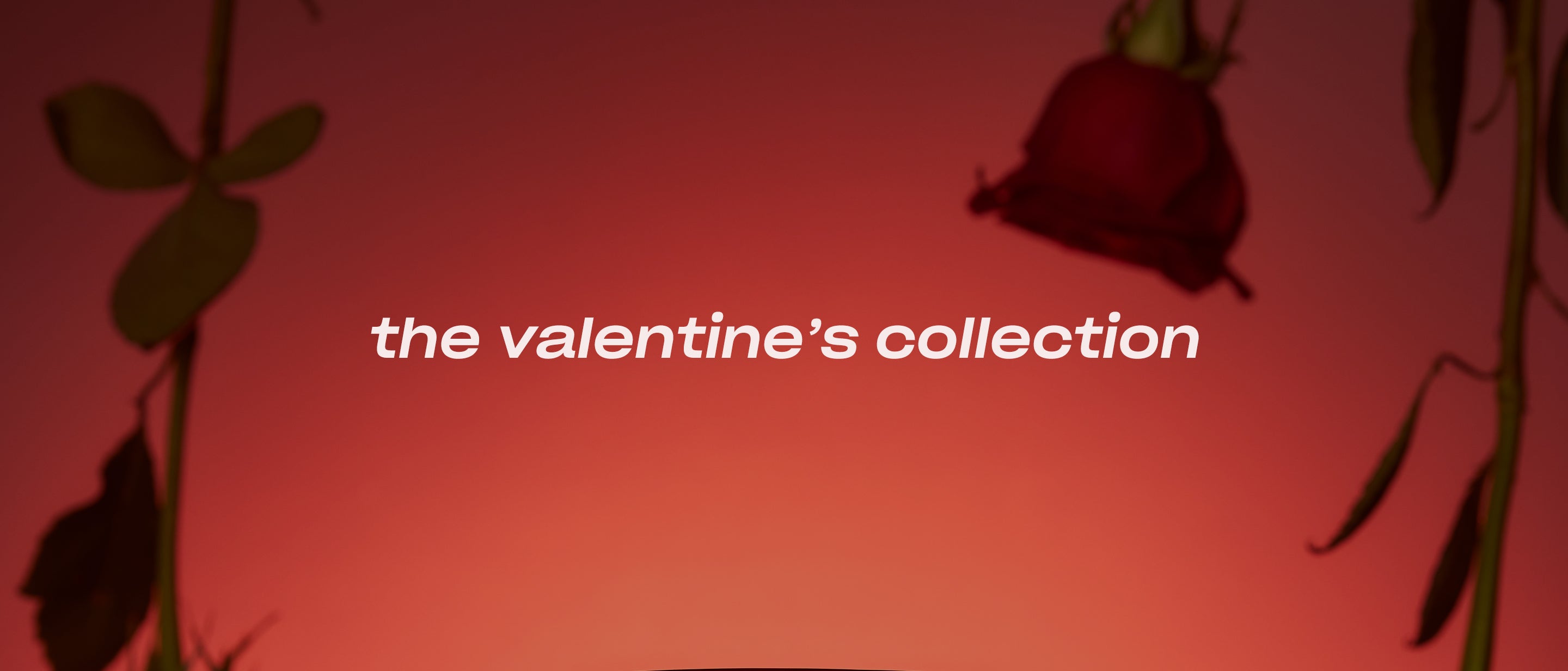 2024 Valentine's Collection