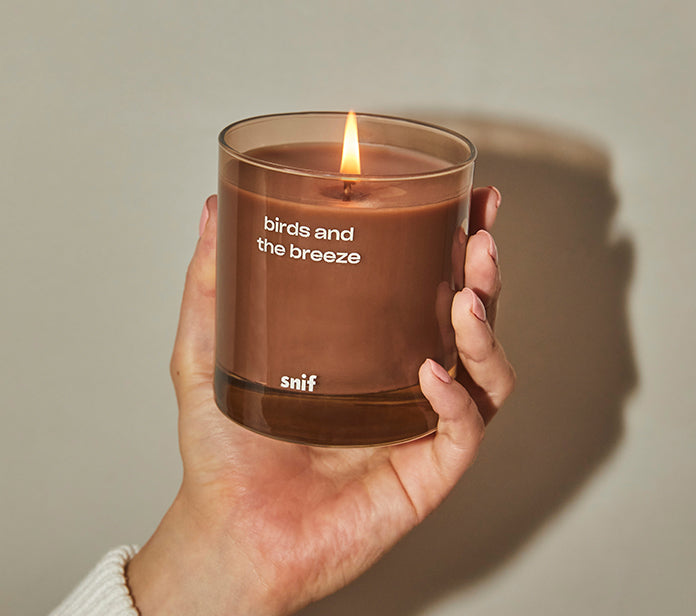 Vegan Candles: Best Cruelty-Free Soy Wax Candles for Every Occasion