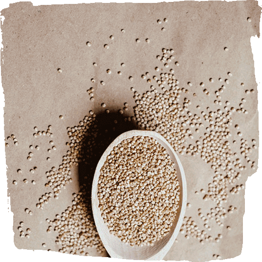 Quinoa als Eisenquelle für Veganer