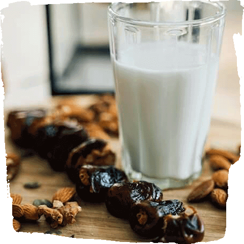 Vegane Pflanzenmilch selber machen