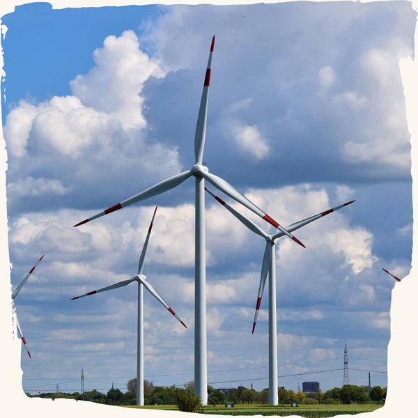 Wind energy: More and more wind turbines are generating more energy