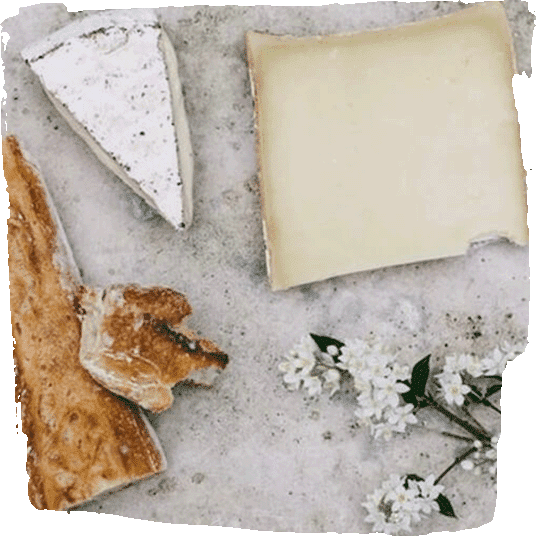 Käse Ersatz Produkte