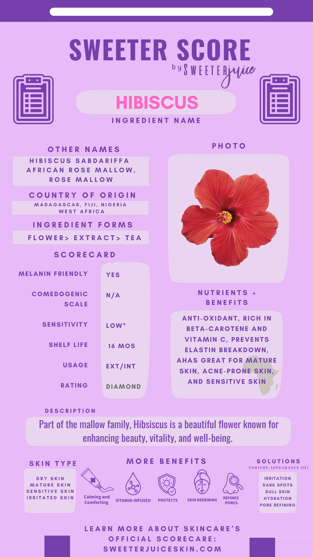 Amazing Health Benefits Of Hibiscus