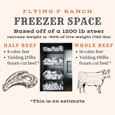 freezer space for beef