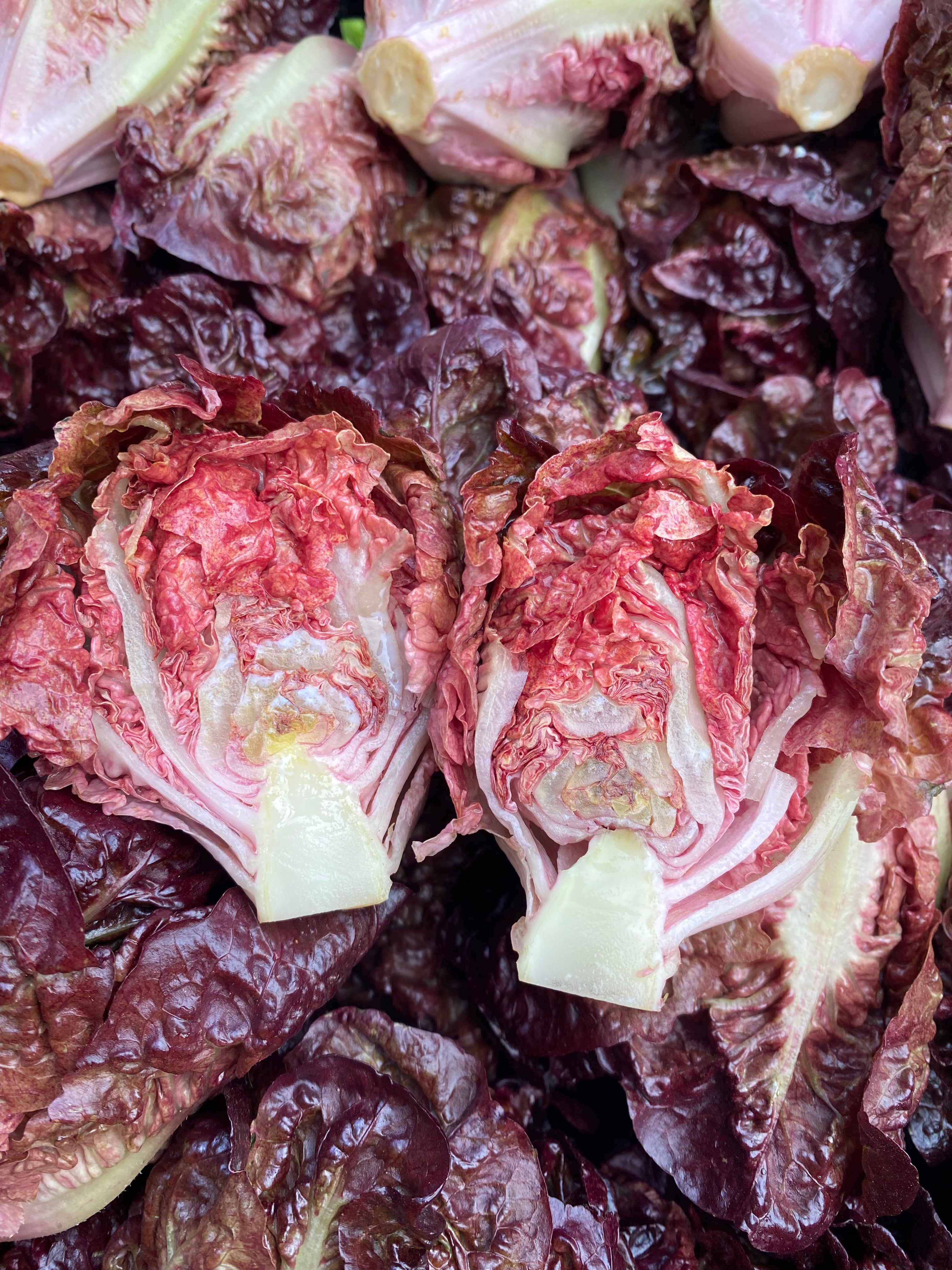 Organic Volcana Gem Hearts from Garden Of 3 units certified organic