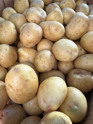 White Potatoes organic — Hails Family Farm