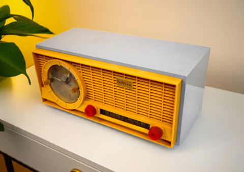 1959 Truetone Model 59C22