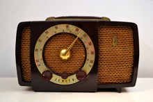 Load image into Gallery viewer, Chocolate Brown Mid Century 1955 Zenith H724 AM/FM Vacuum Tube Radio Popular Model! - [product_type} - Zenith - Retro Radio Farm