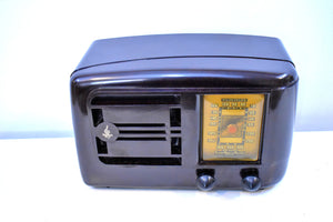 Bluetooth Ready To Go - Mocha Brown Bakelite 1946 Emerson Model 507 AM Tube Radio Golden Age of Radio Sound!