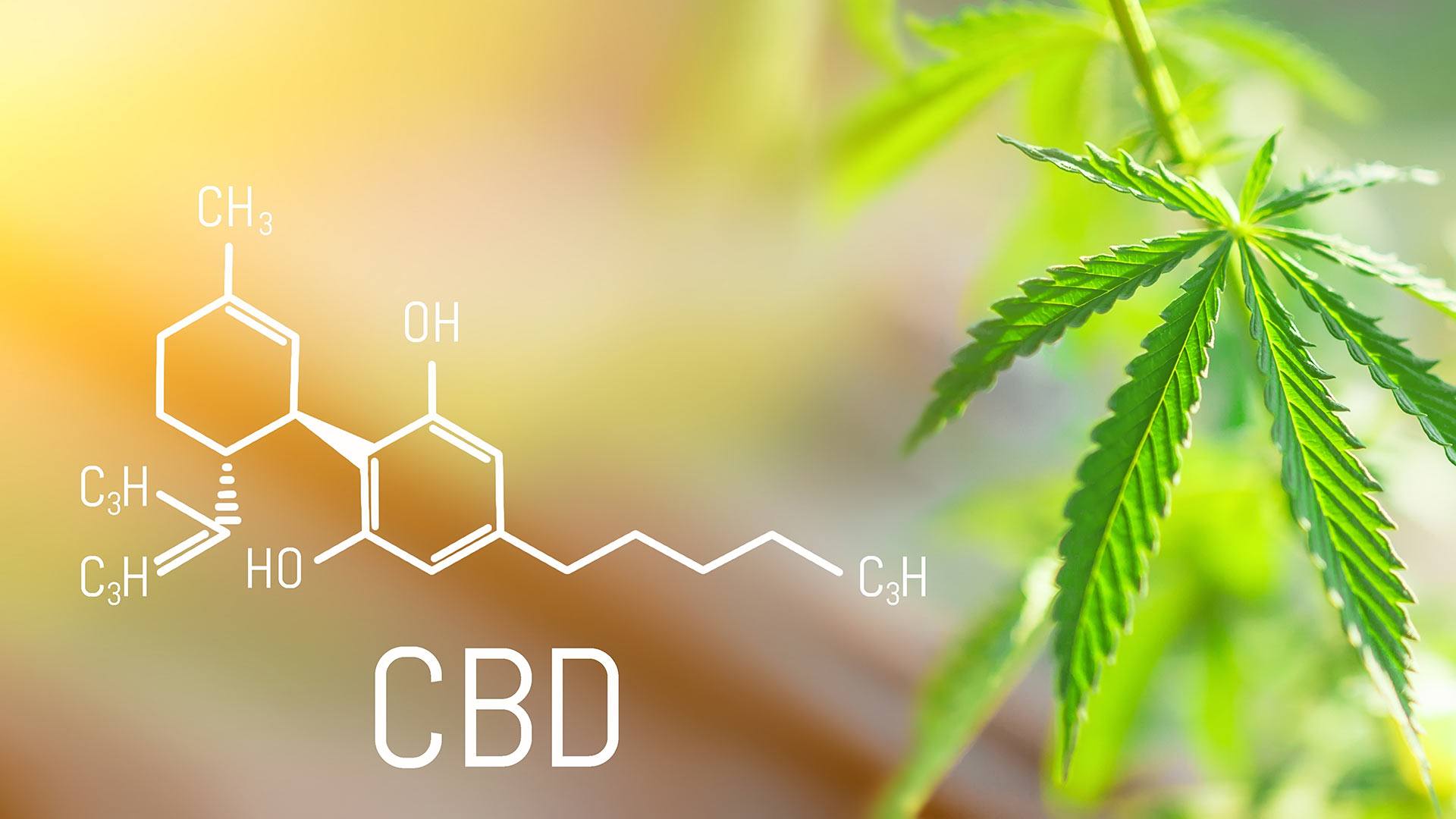 CBD chemical formula and cannabis leaf