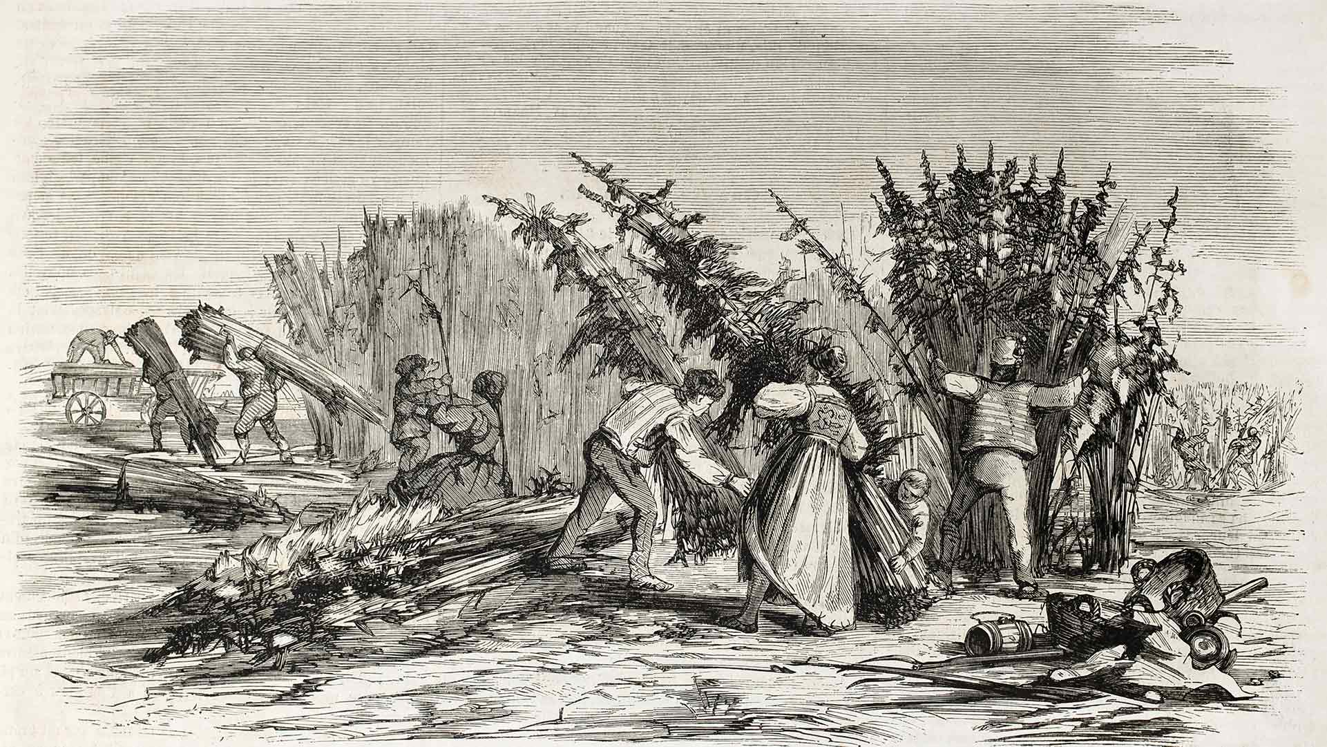 Hemp harvesting on Rhine bank. Created by Lallemand, published on L'Illustration, Journal Universel, Paris, 1860