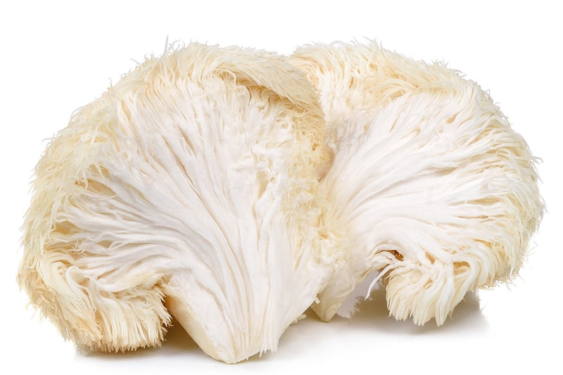 Organic Lion's Mane