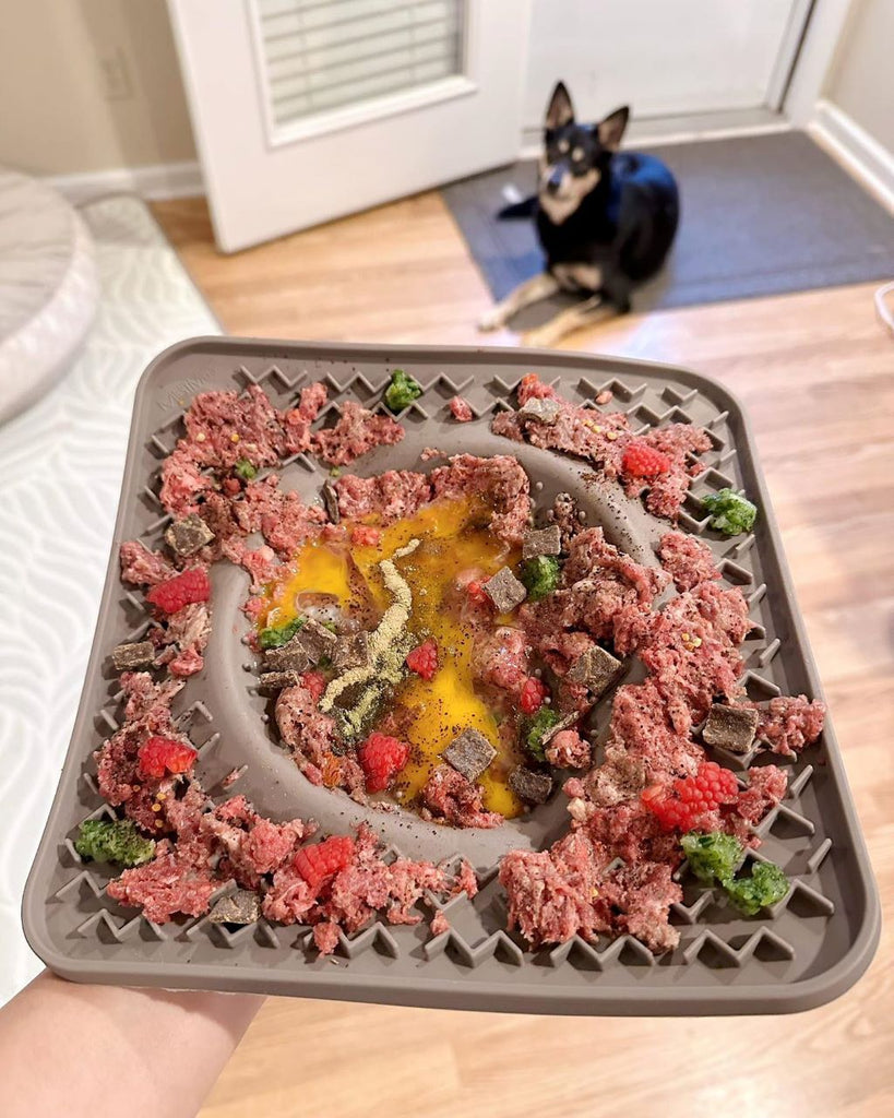 Raw dog food on Messy Mutts lick mat