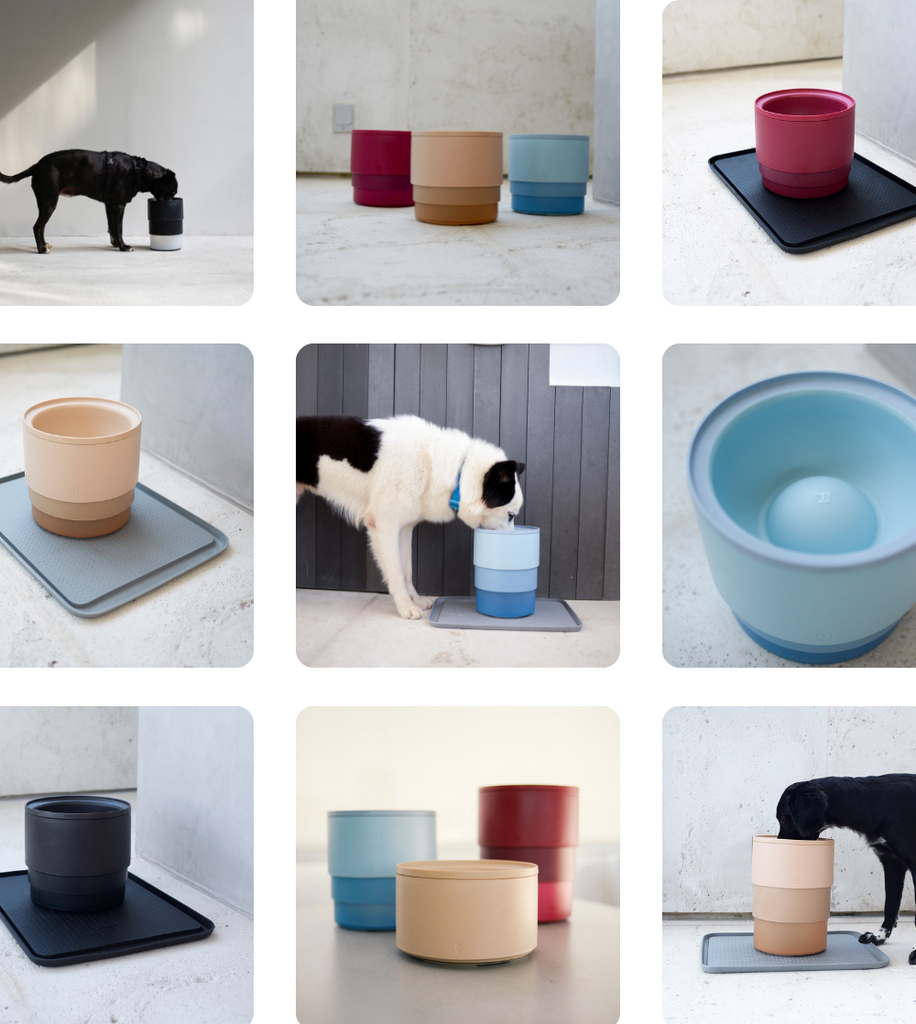 Elevated dog bowls with slow feeders by Zee.Dog