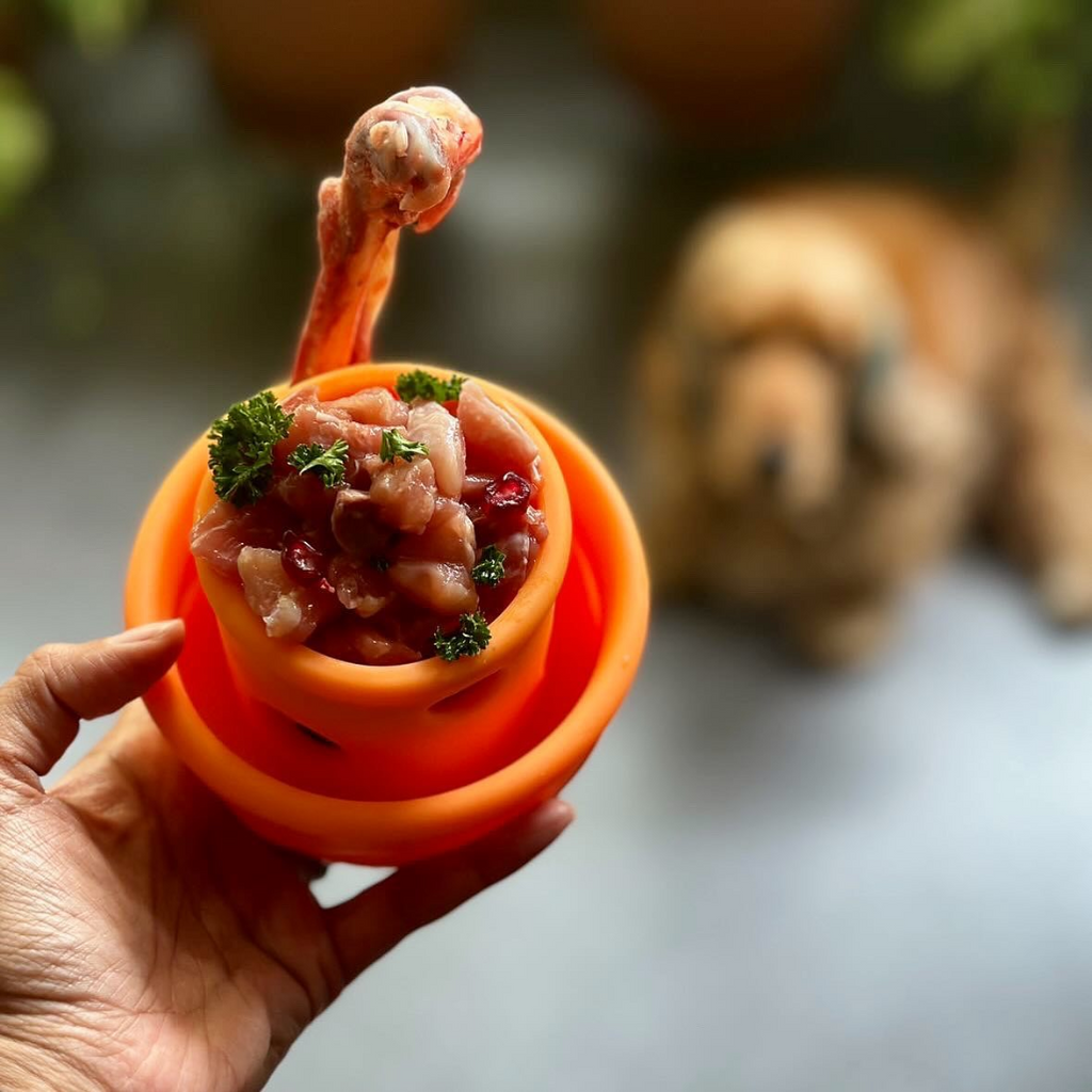 enrichment dog feeder with raw dog food