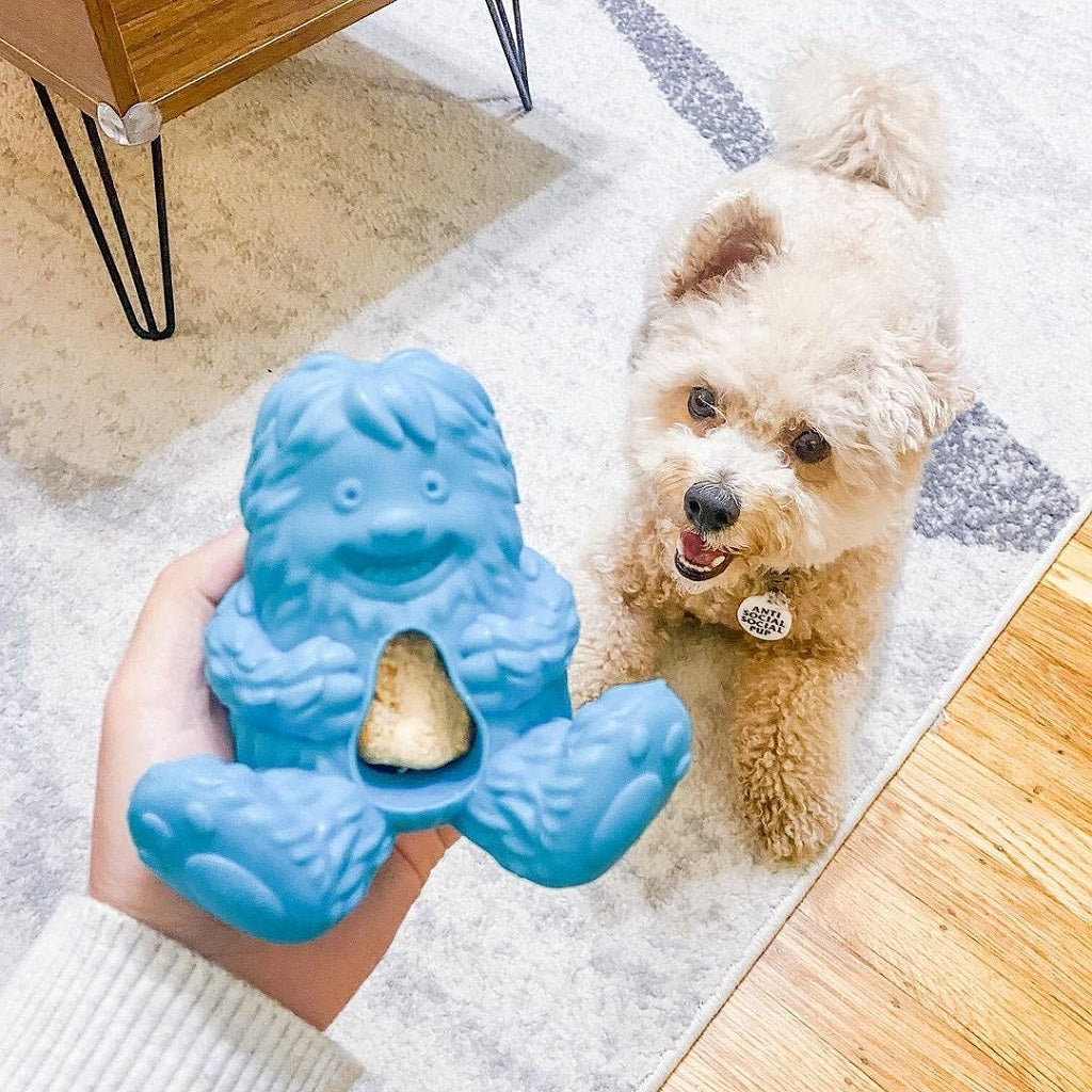 Cute dog with Yeti Puff and Play interactive dog treat toy