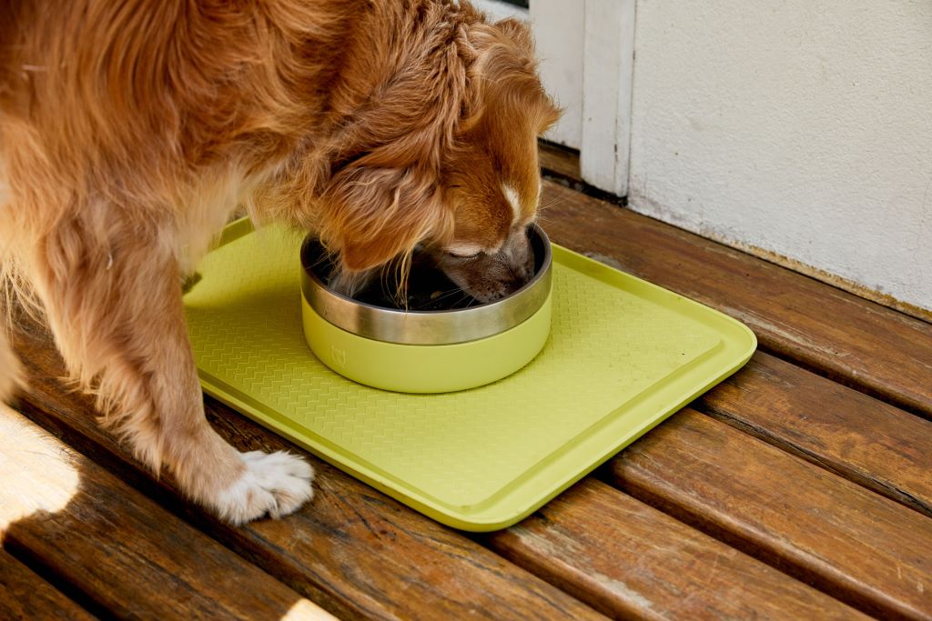 Stainless Steel Tuff Bowl by Zee.Dog