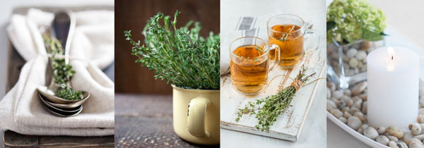 Pictures the uses of thyme mentioned in the article.