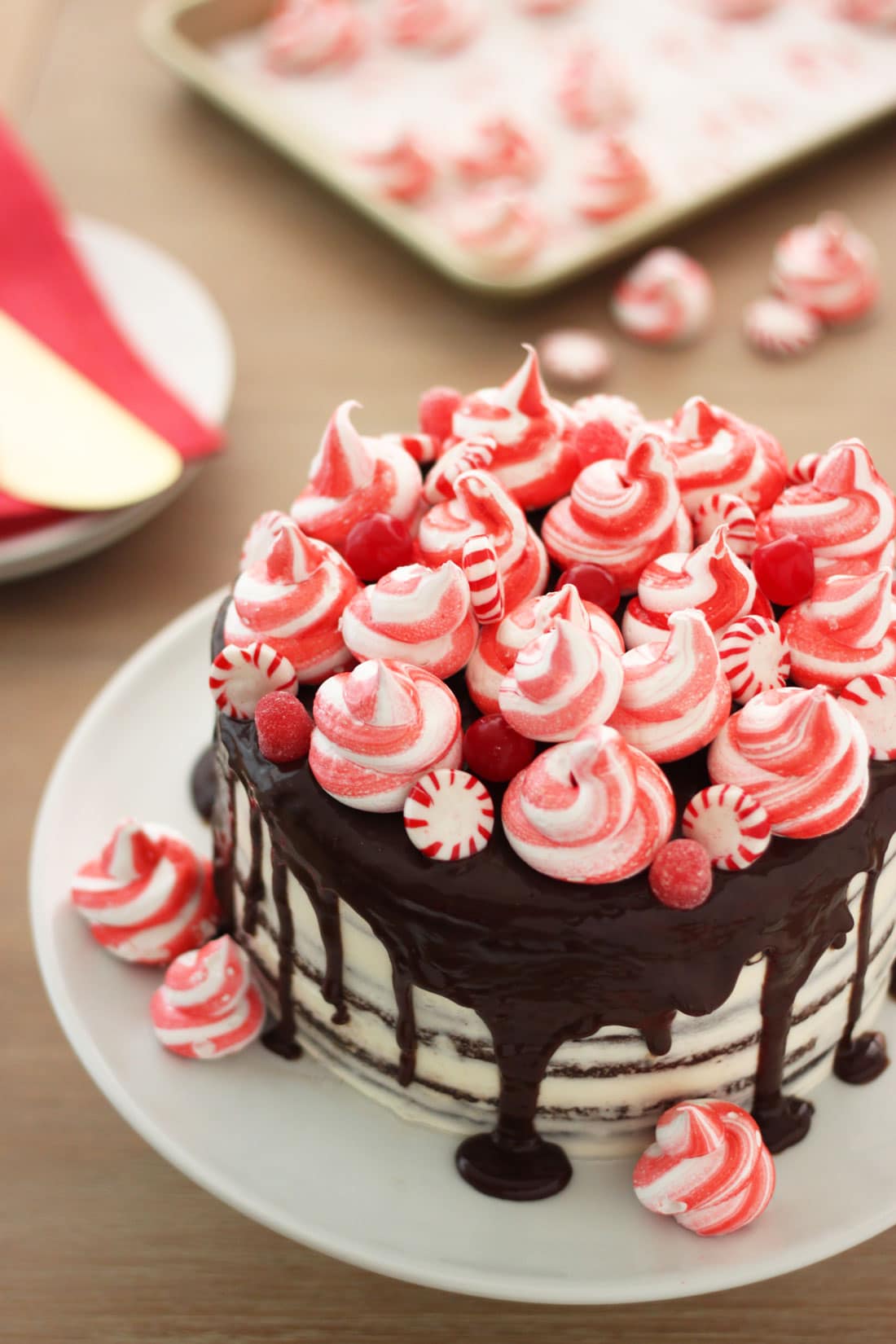 Miss Jones Baking Peppermint Chocolate Layer Cake with Chocolate Ganache picture of top of cake