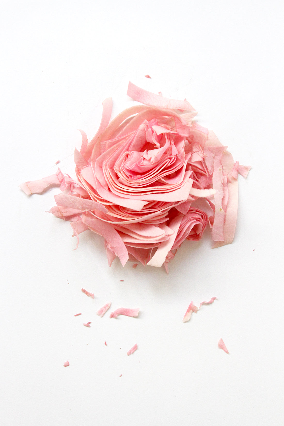 Image of a sliced rose pieced back together for Miss Jones Baking Co Rosé All Day Rose Cake