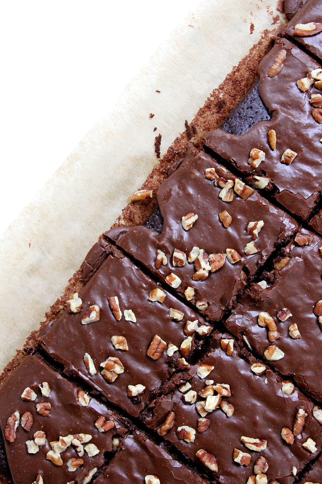 Close up image of part of Miss Jones Baking Co Sarah's Texas Sheet Cake cut into squares