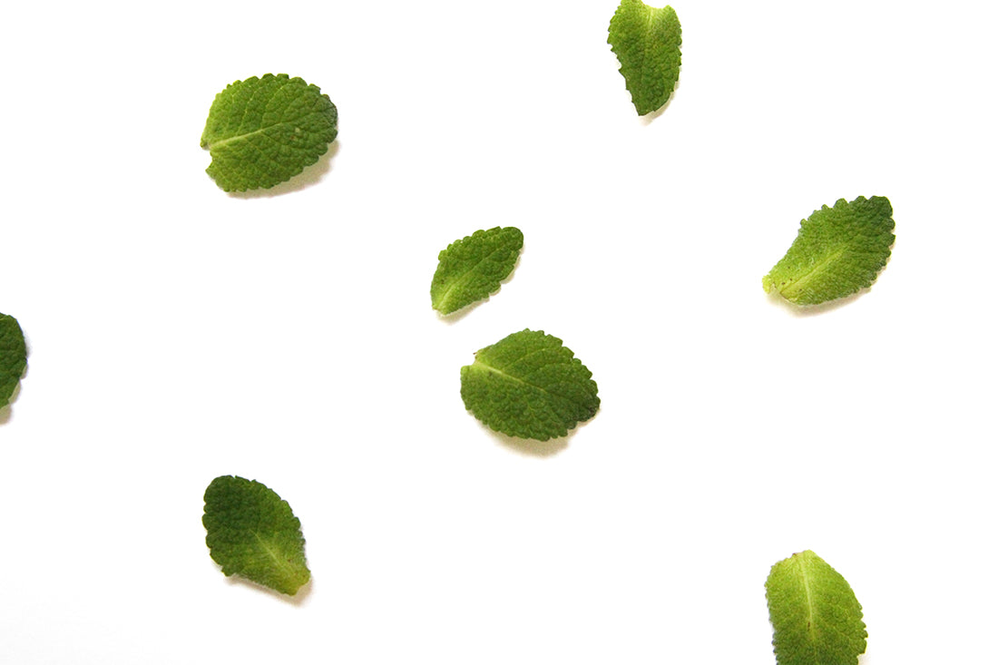 Image of mint leaves used for Miss Jones Baking Co Thin Mint Donuts