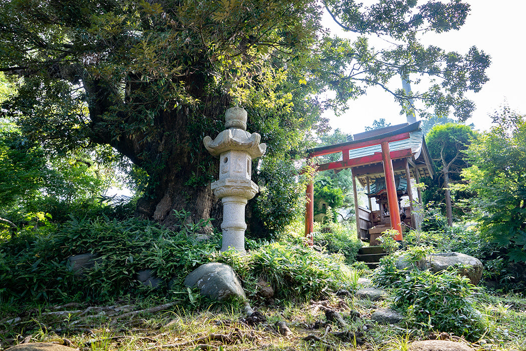 宮崎酒造場の仕込み水